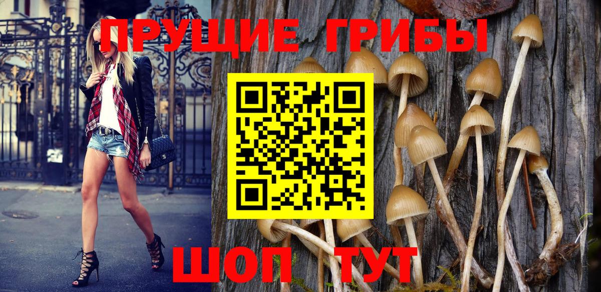 Кизляр  Галлюциногенные грибы Magic Shrooms  где найти наркотики  Вход с VPN 